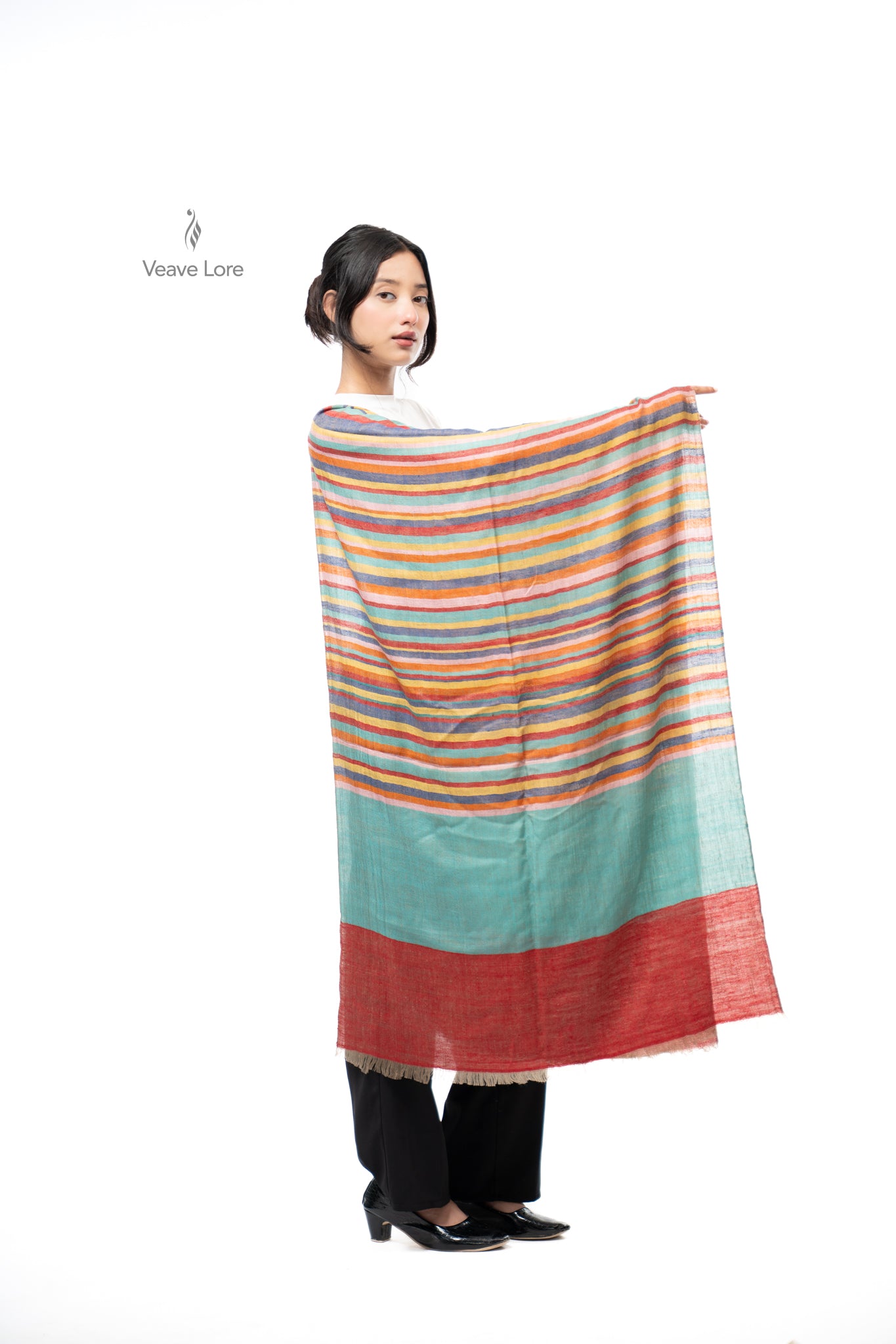 Dhanak Carousel Pashmina Stole