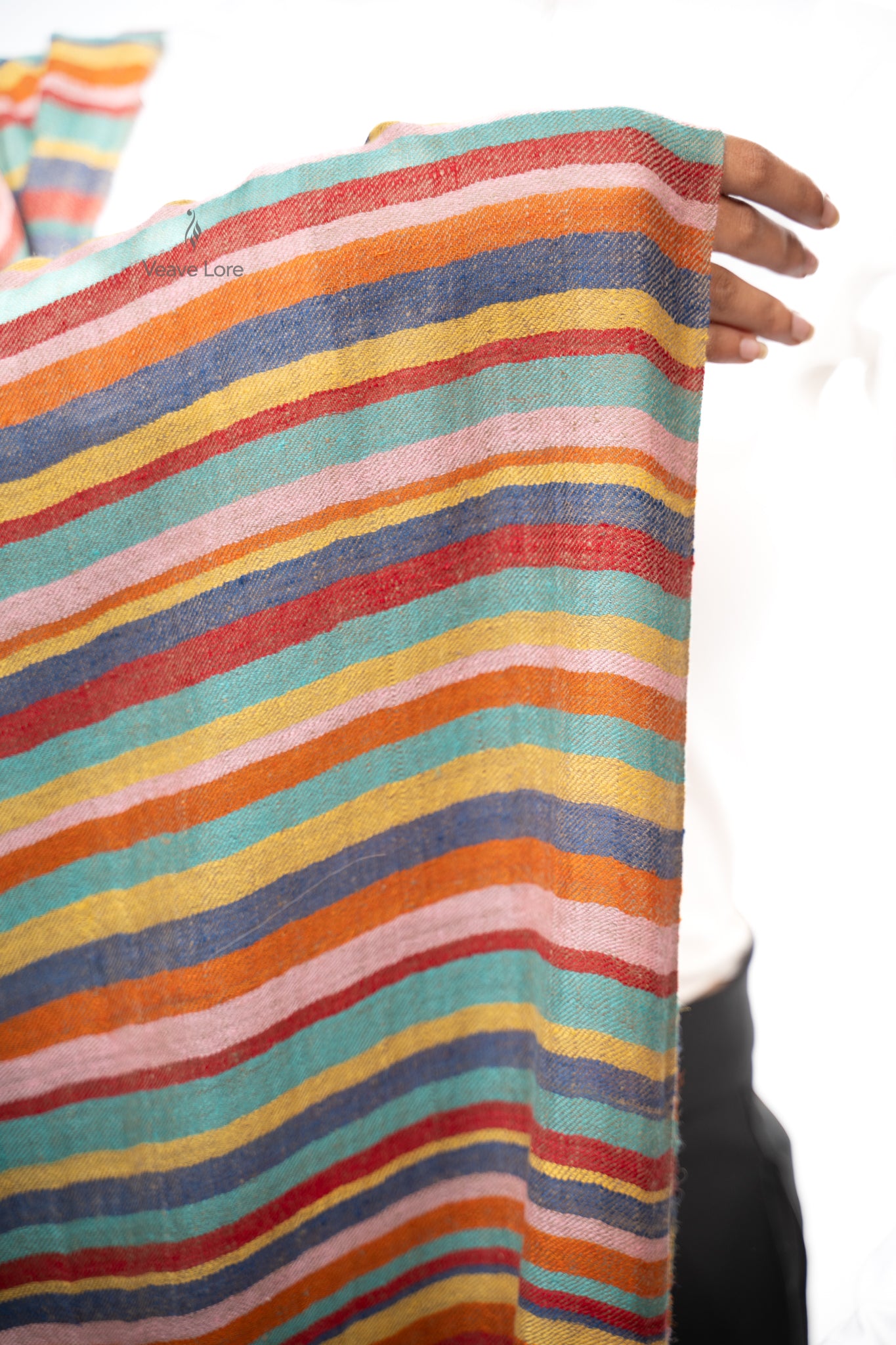 Dhanak Carousel Pashmina Stole