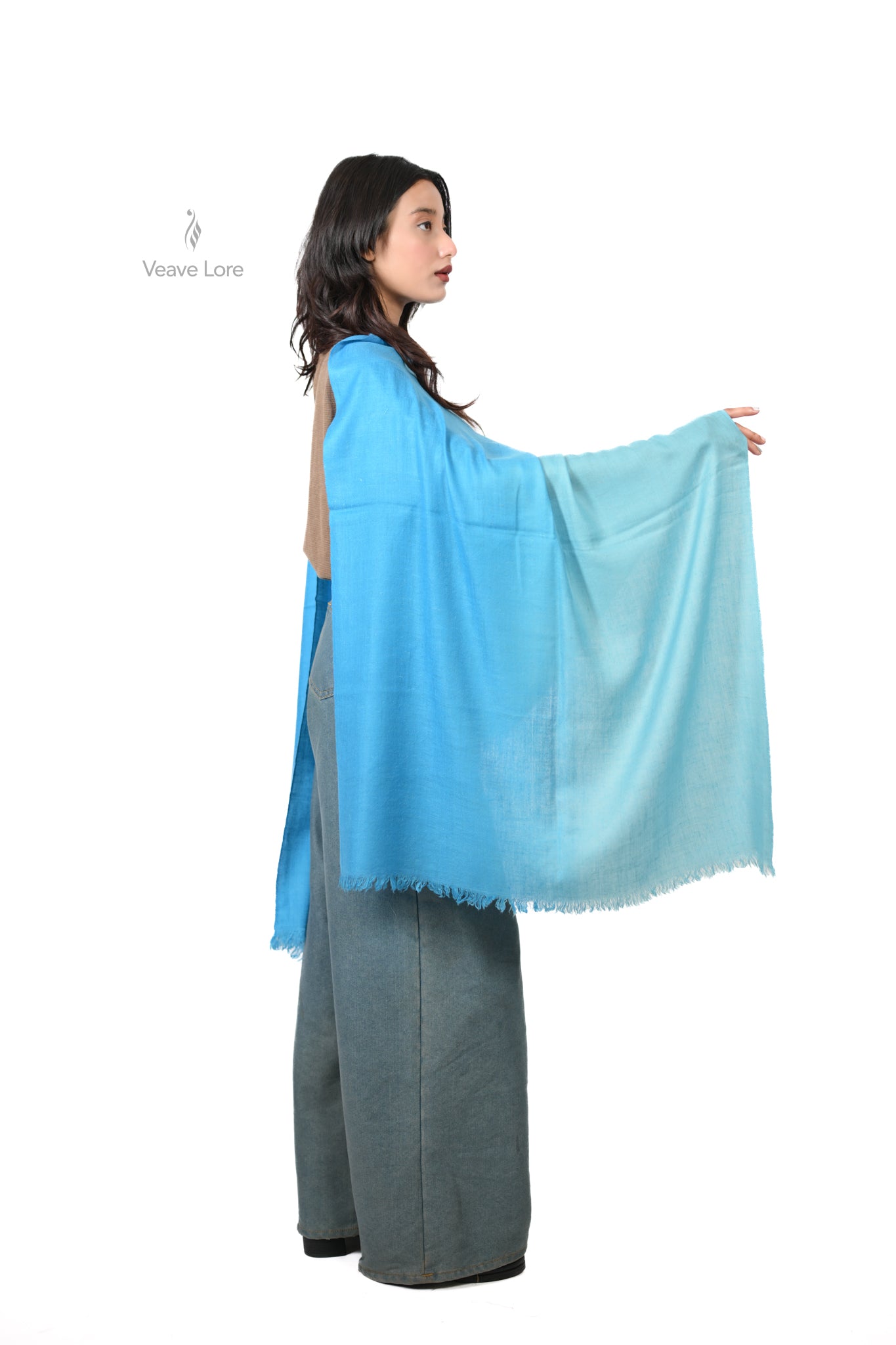 Asmaan-e-Lahar Pashmina Stole