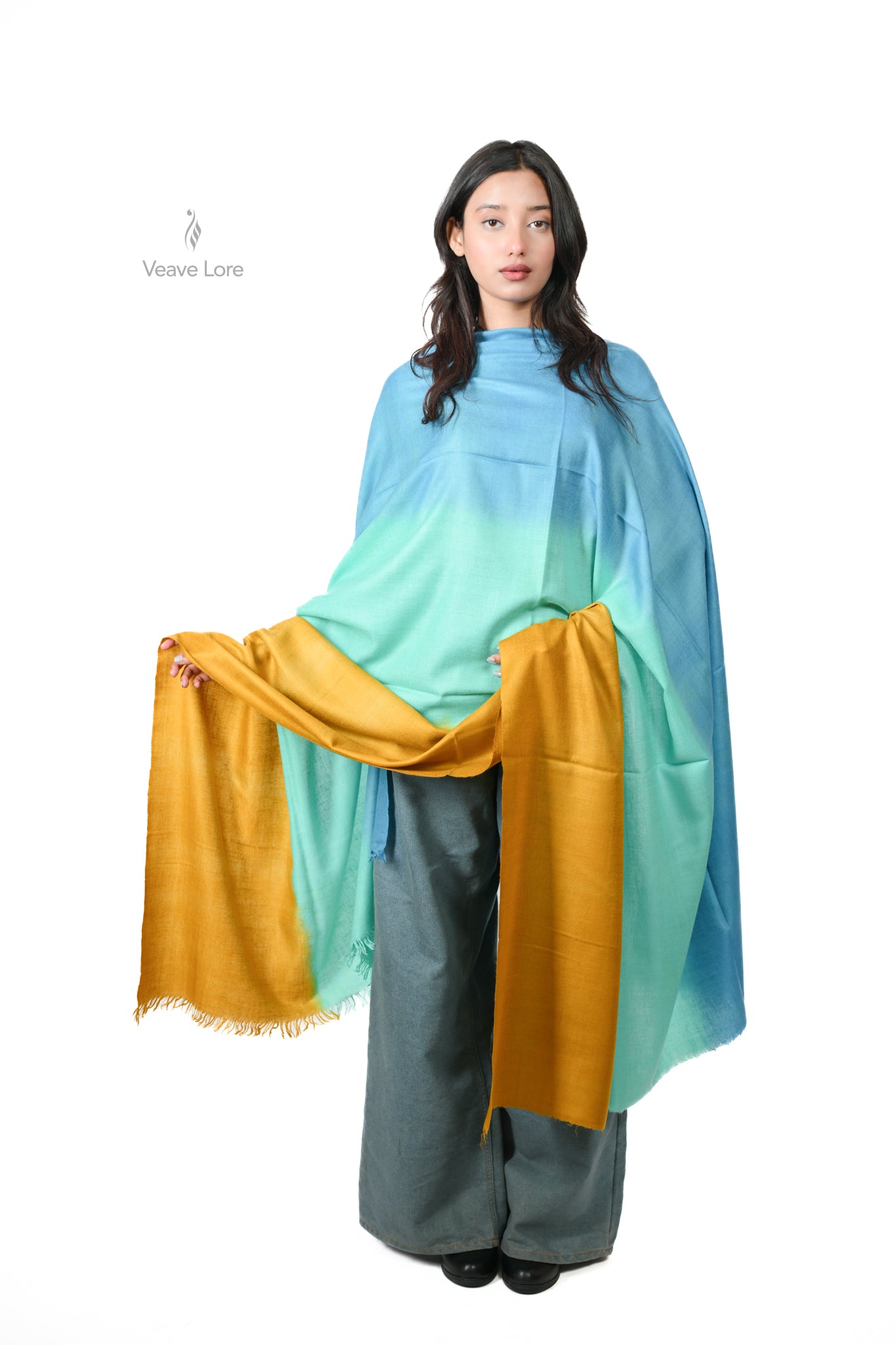 Samundar Ombre Kashmiri Pashmina Shawl
