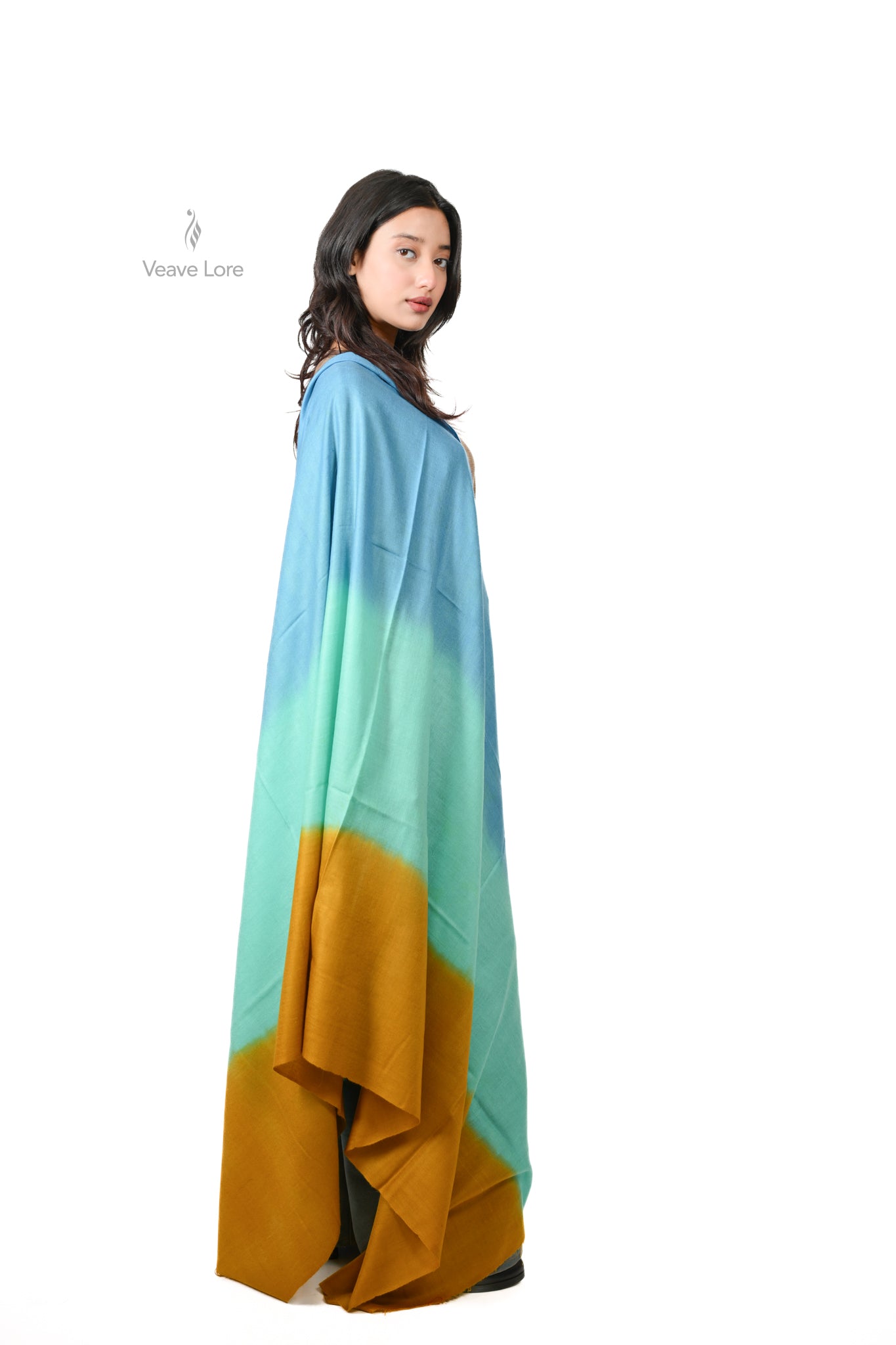 Samundar Ombre Kashmiri Pashmina Shawl