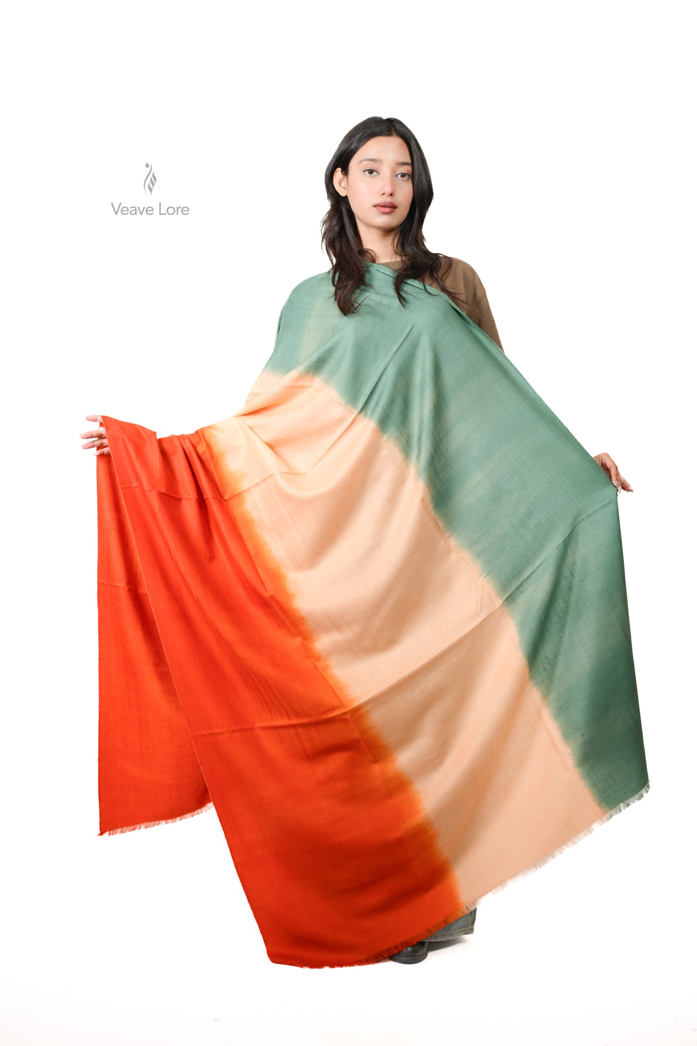 Rang e Shafaq Pashmina Shawl