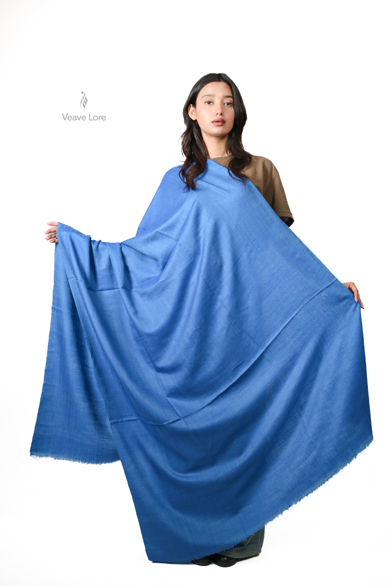 Neel Pashmina Shawl