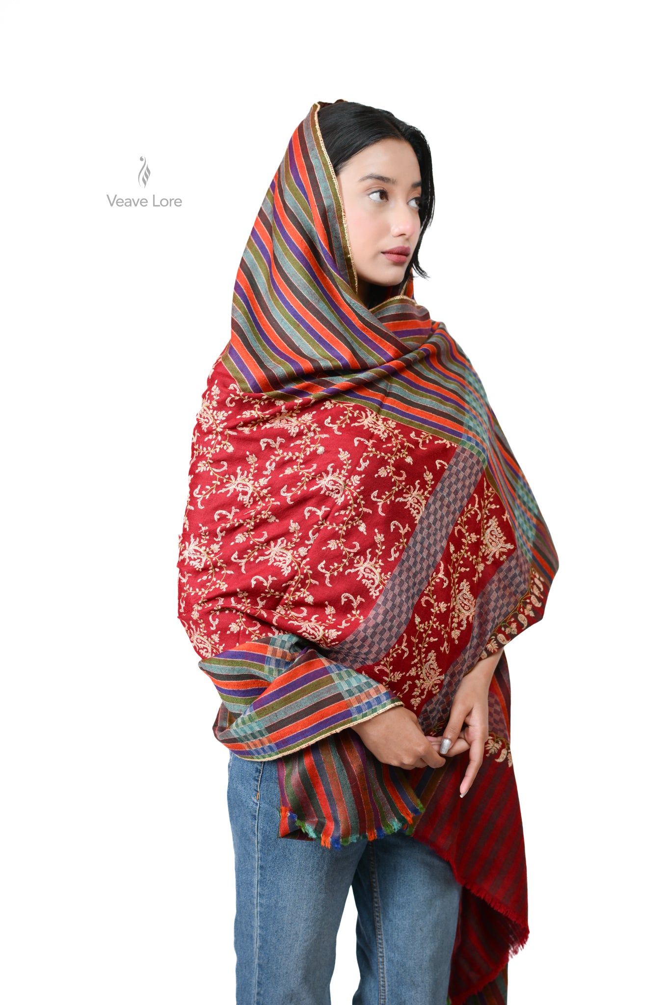 Raunaq Carnival Pashmina Shawl