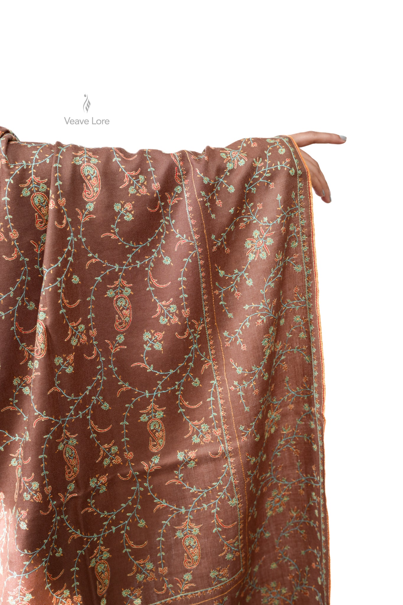 Coffee & Pista Pashmina Shawl
