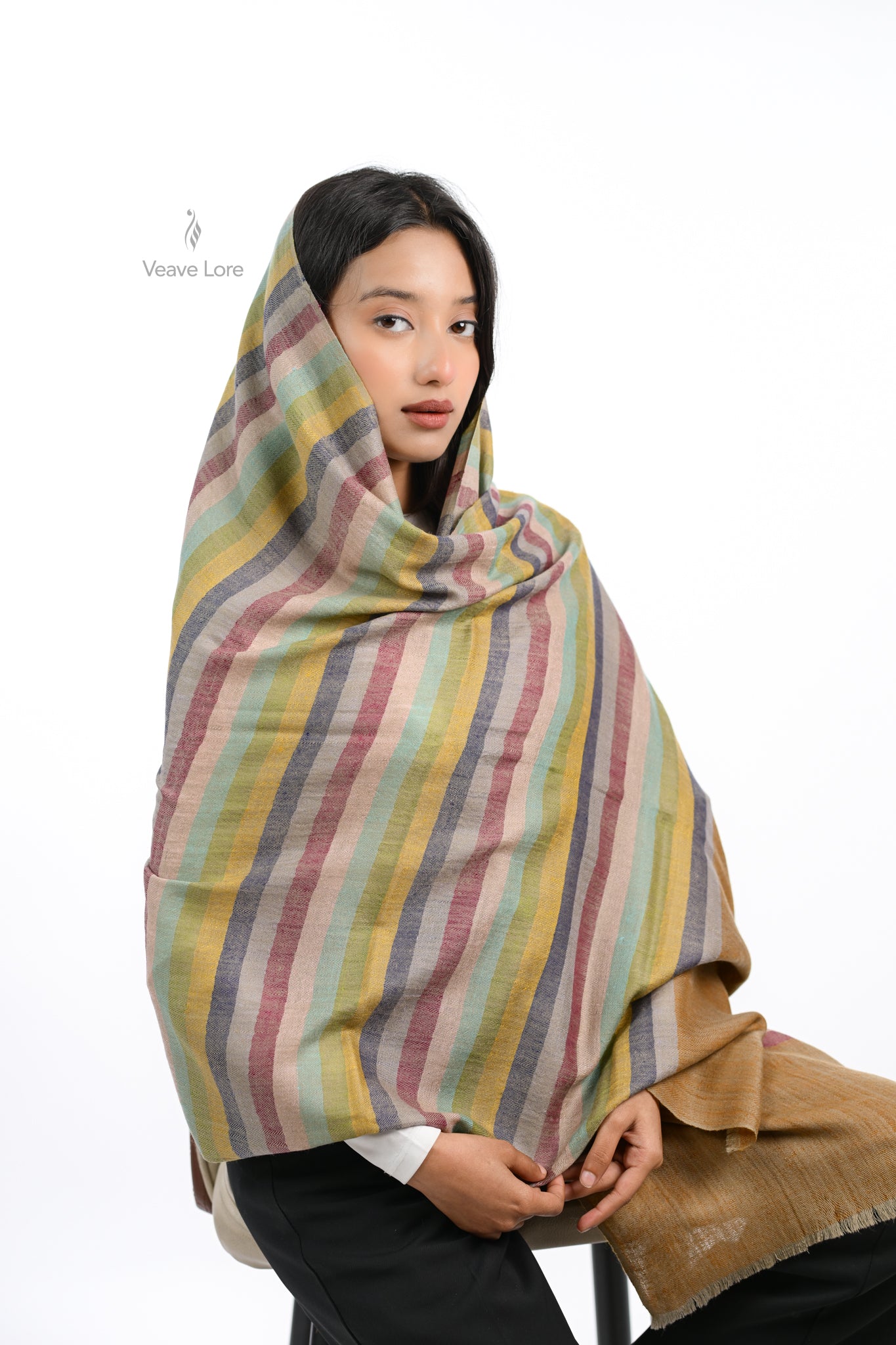 Rang Spectrum Pashmina Stole
