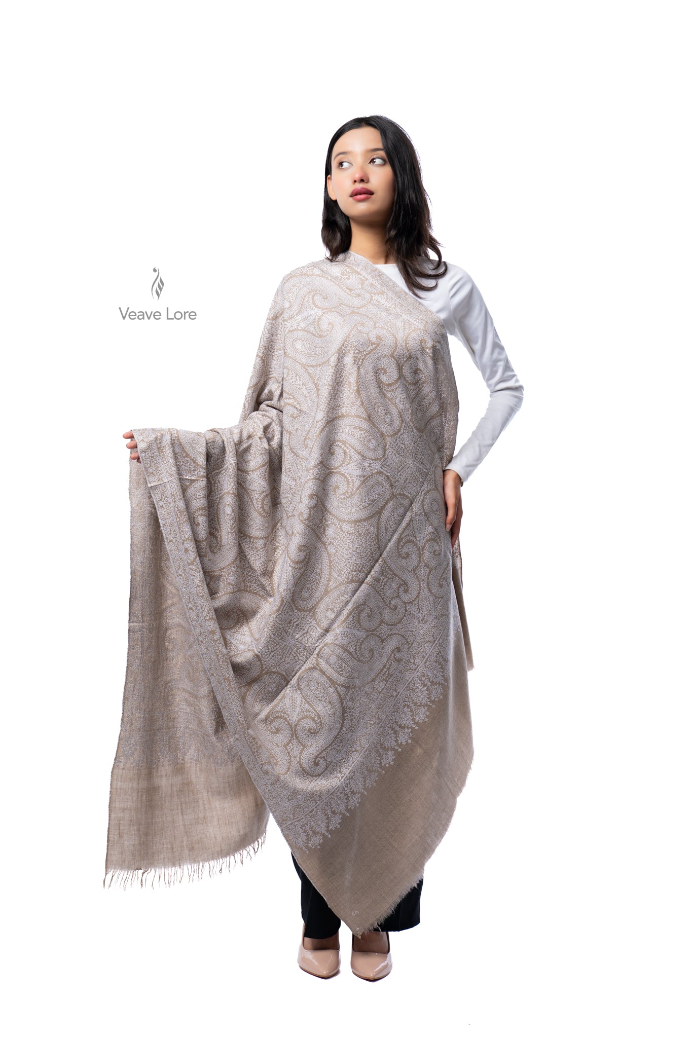 Naqsh-o-Nigaar Pashmina Shawl