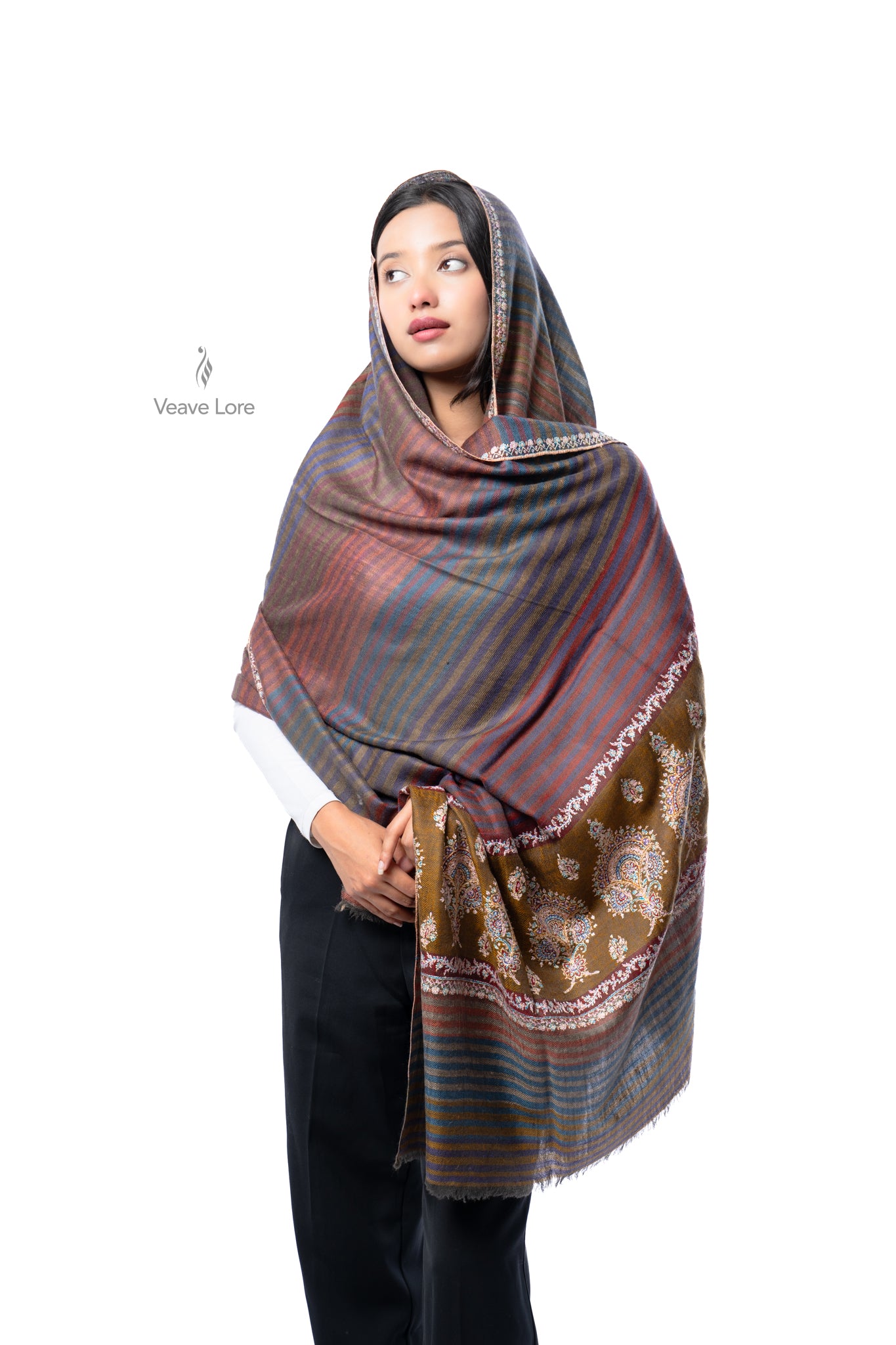 Dhoop-Chhaon Pashmina Shawl