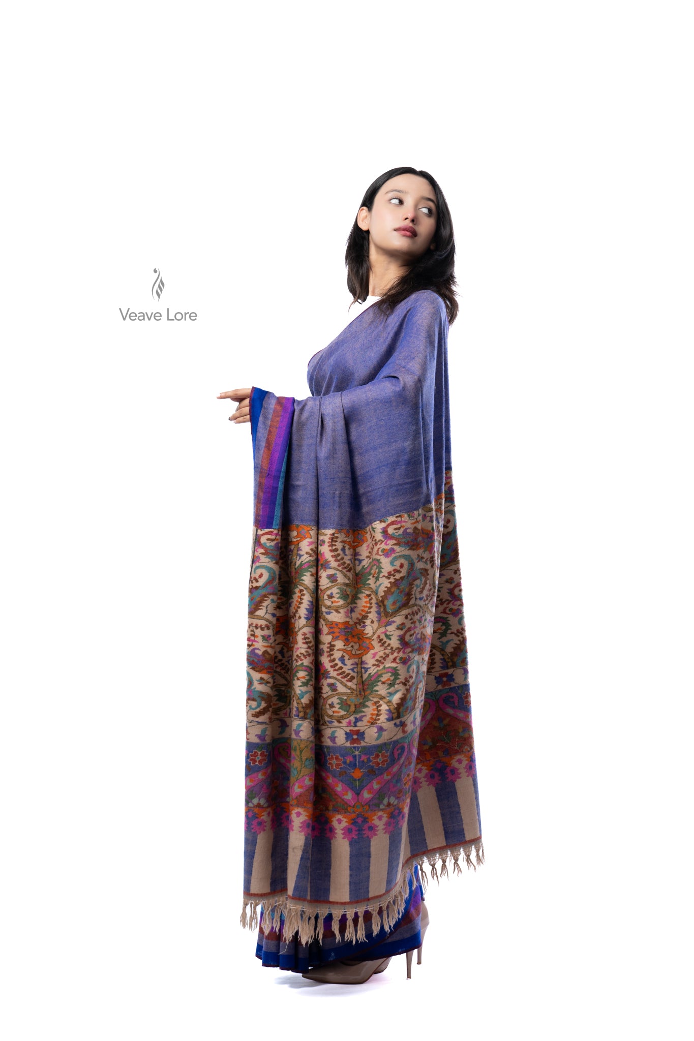The Nginavat Kani Pashmina Saree