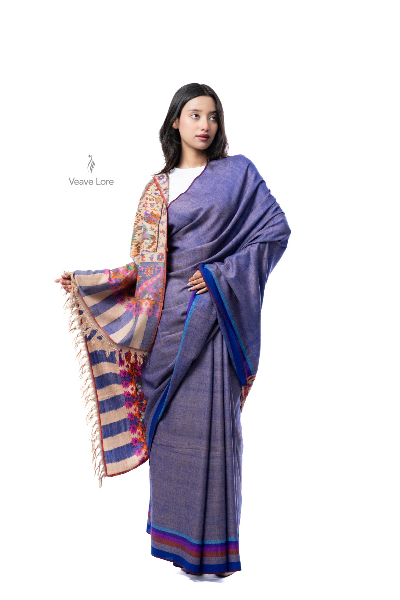 The Nginavat Kani Pashmina Saree