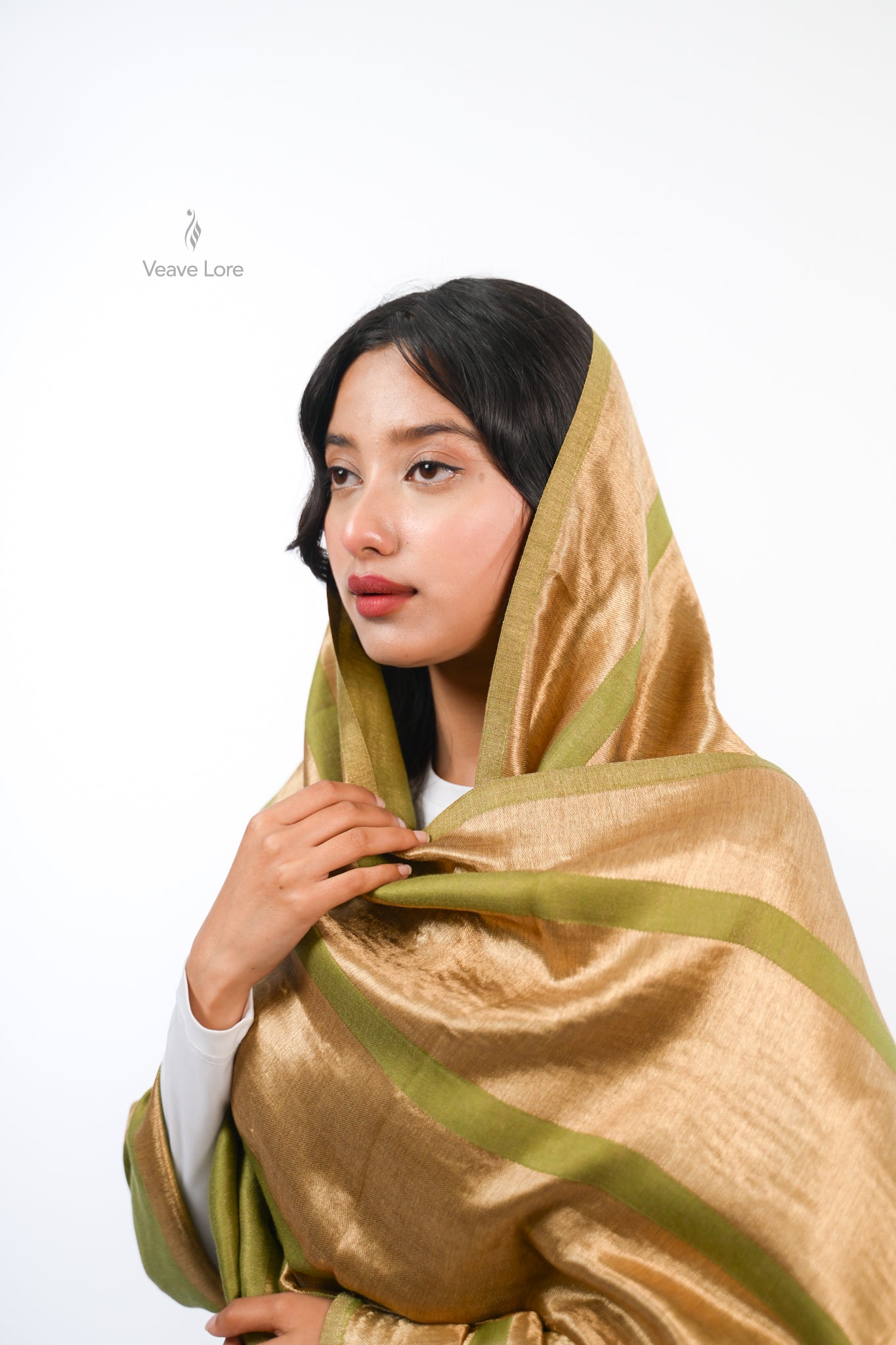Zari Stole The Luminous Thread