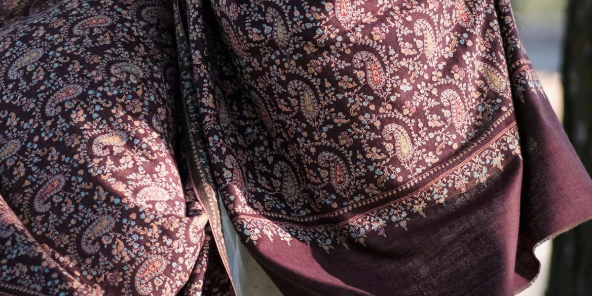 The Language of Pashmina: A Collector's Glossary from Alwan to Zanjeer