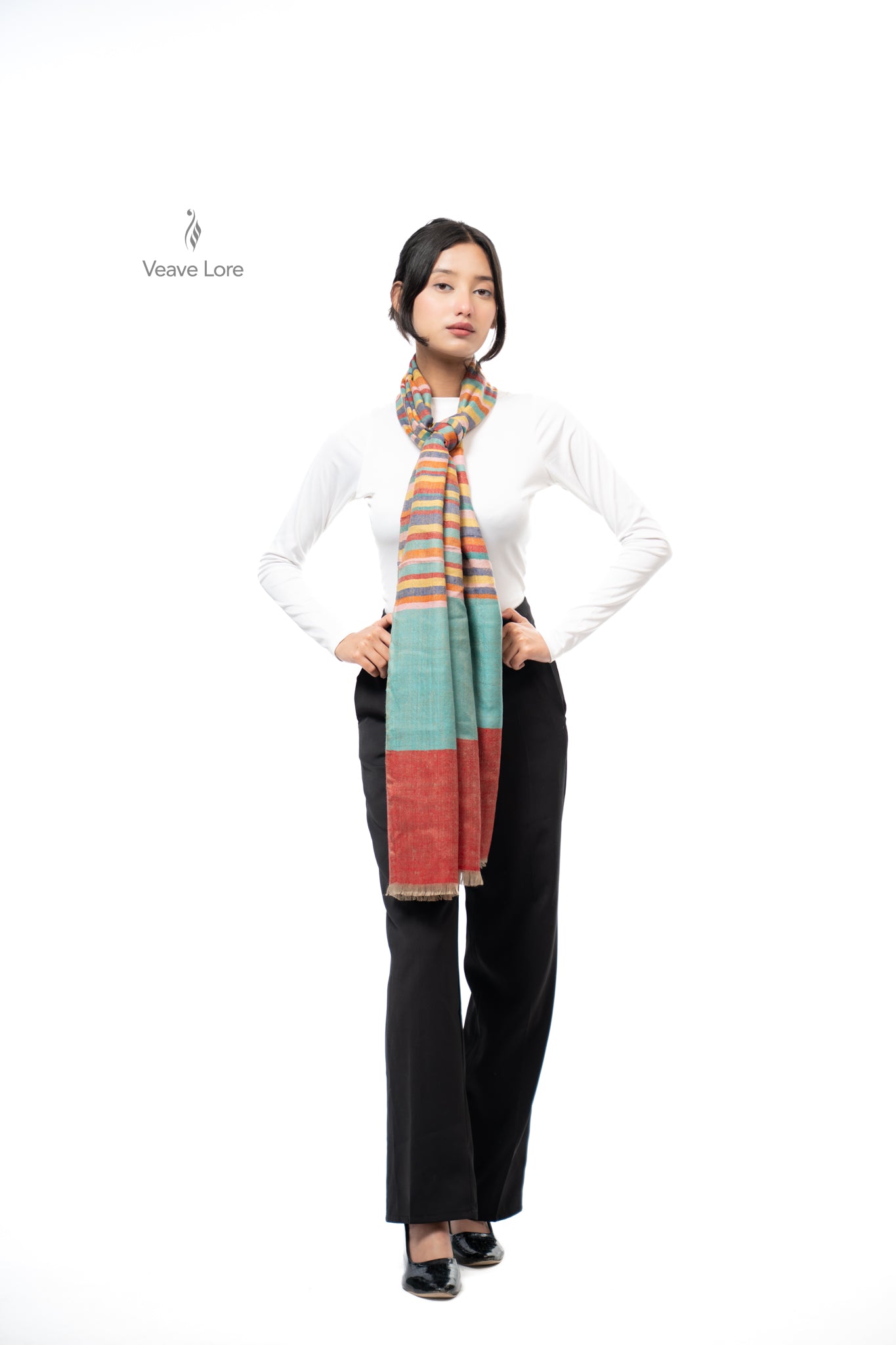 Dhanak Carousel Pashmina Stole
