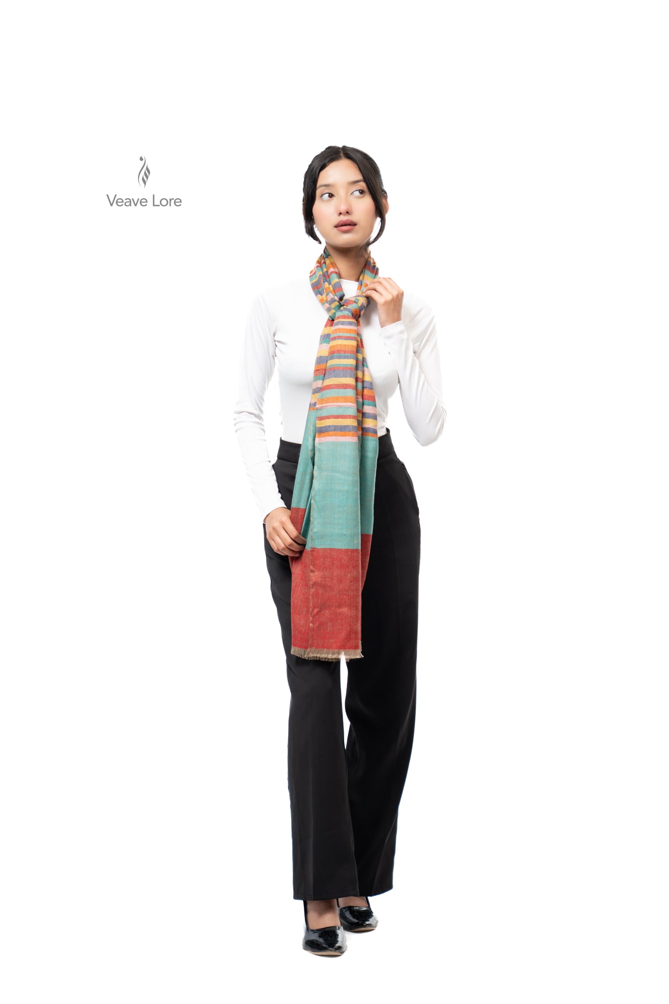 Dhanak Carousel Pashmina Stole