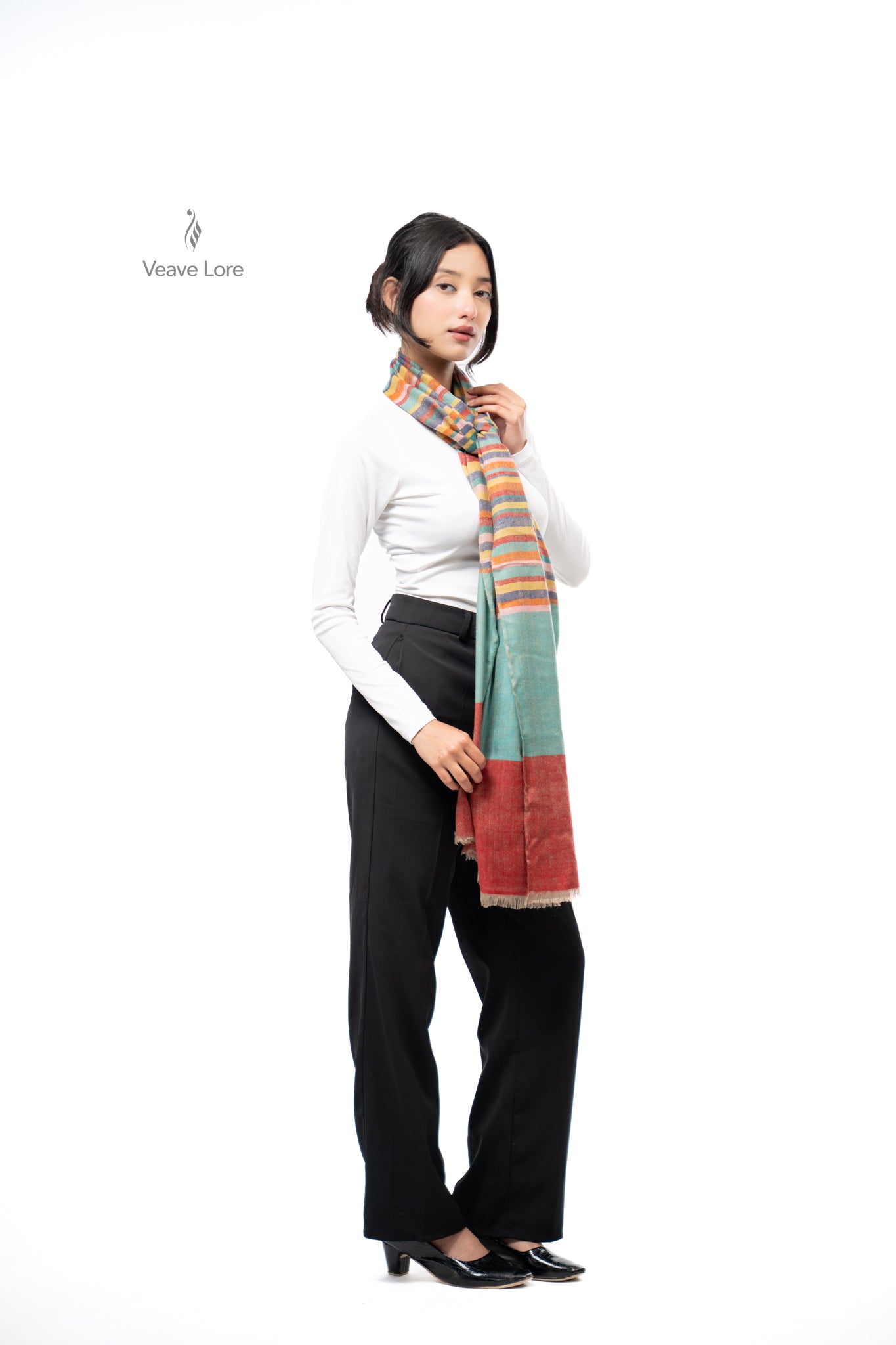 Dhanak Carousel Pashmina Stole