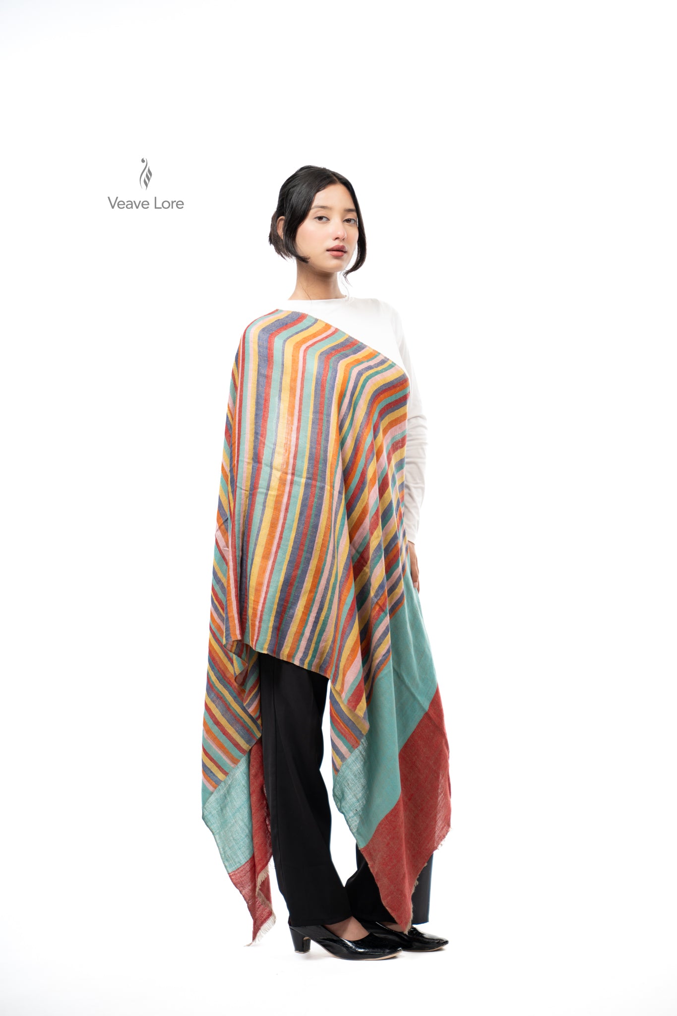 Dhanak Carousel Pashmina Stole