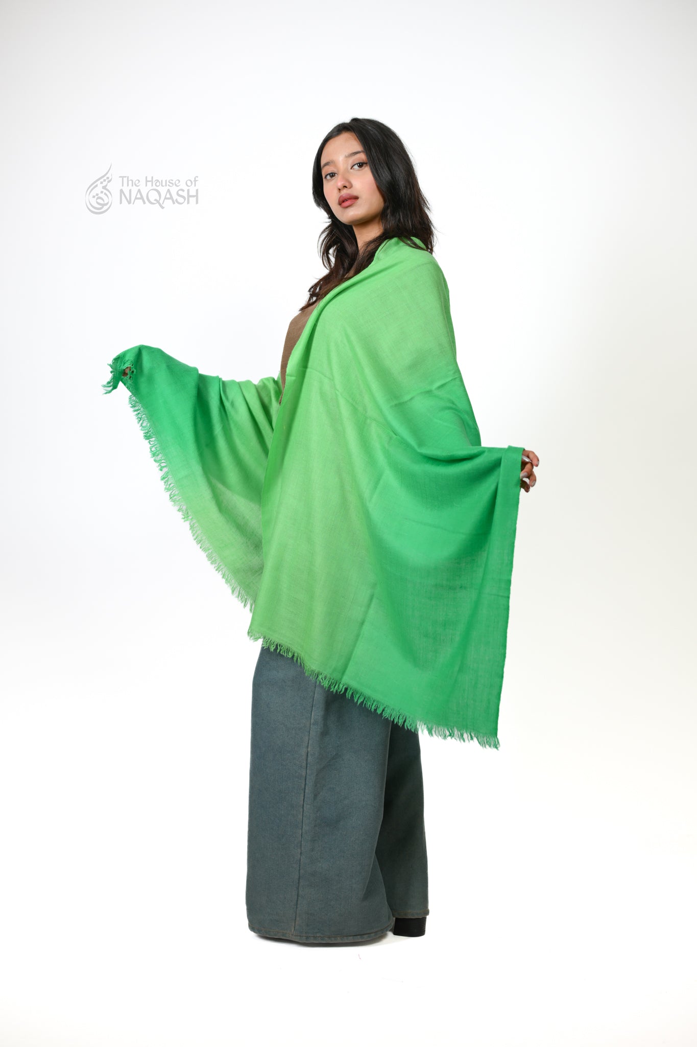 Sabz-e-Jamal Pashmina Stole