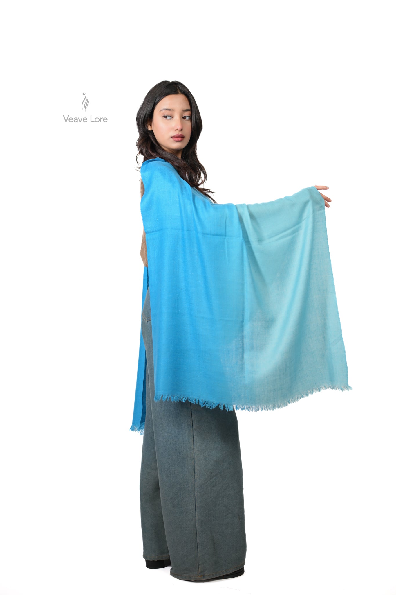 Asmaan-e-Lahar Pashmina Stole