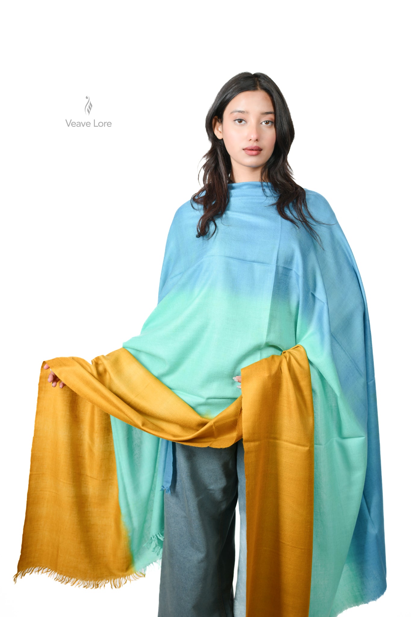 Samundar Ombre Kashmiri Pashmina Shawl