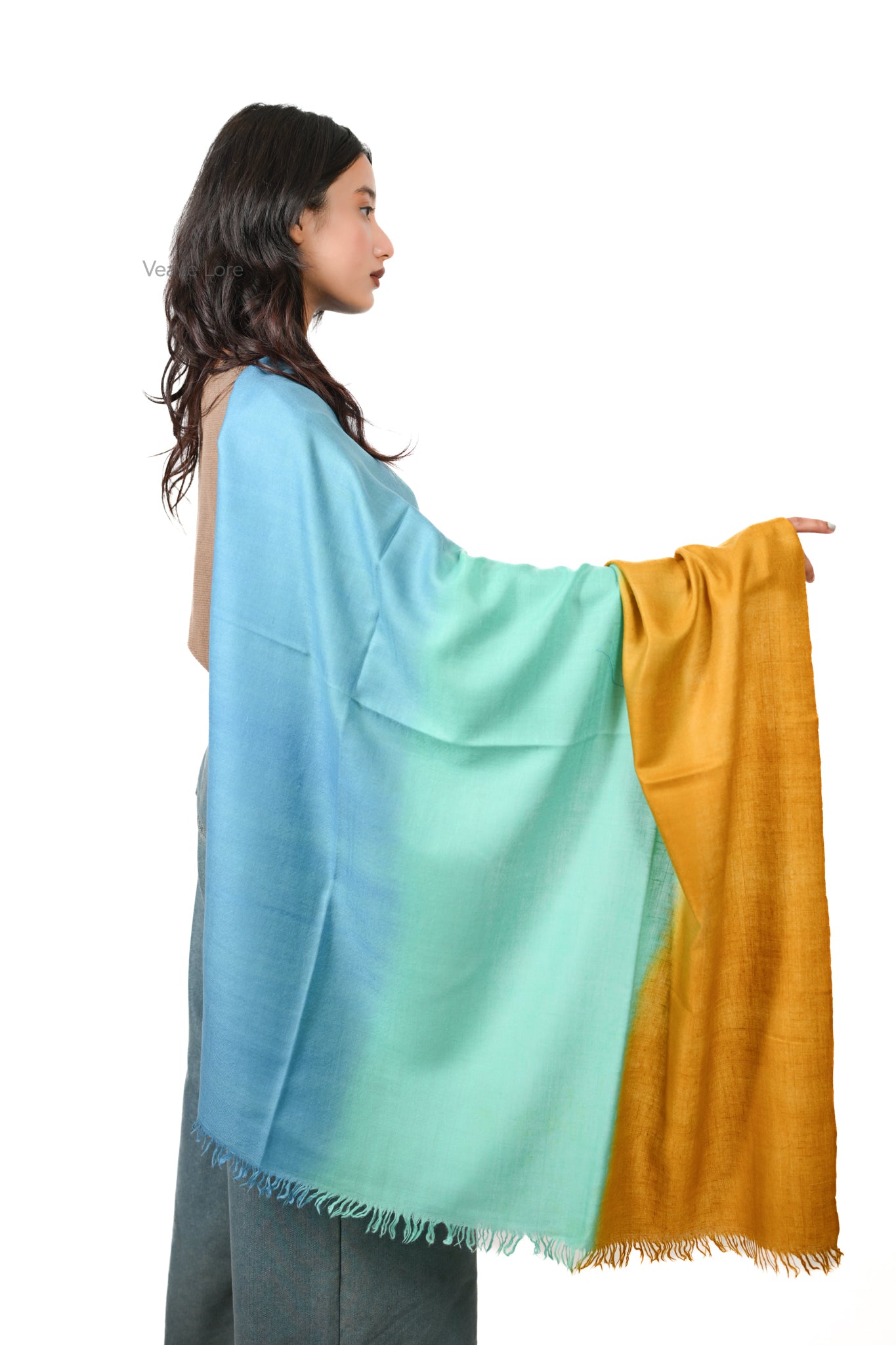 Samundar Ombre Kashmiri Pashmina Shawl