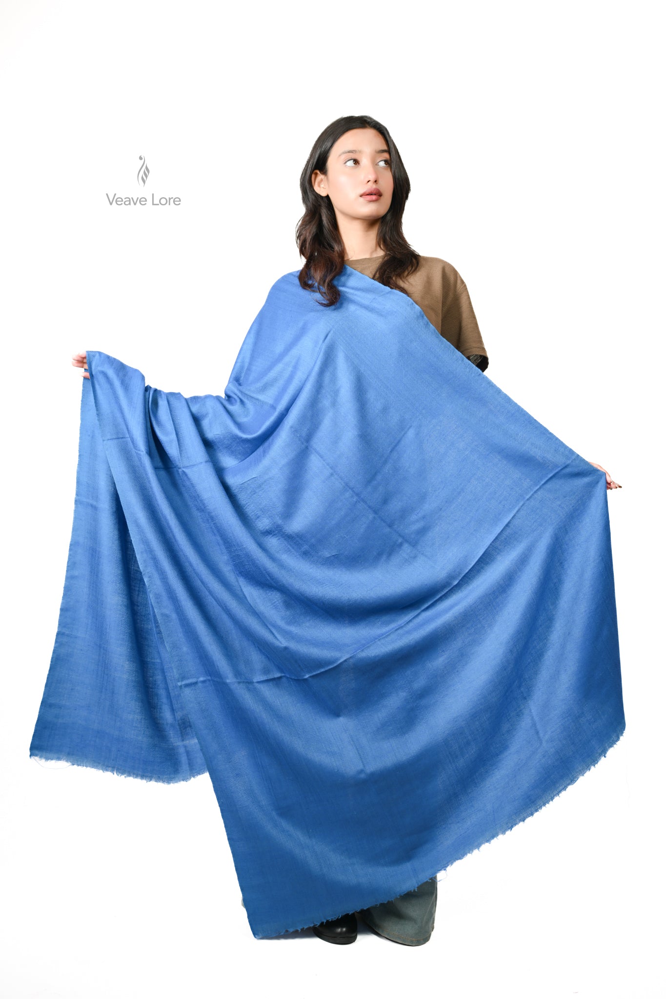 Neel Pashmina Shawl
