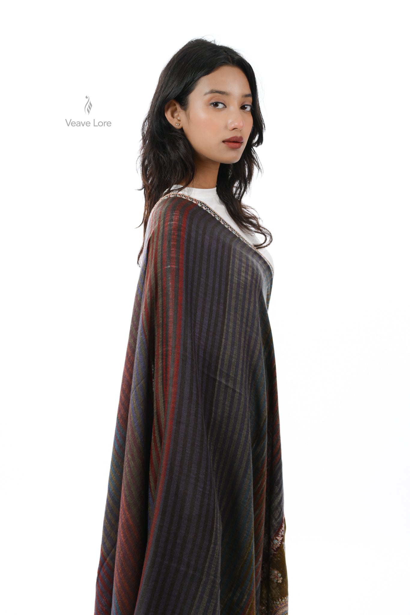 Dhoop-Chhaon Pashmina Shawl