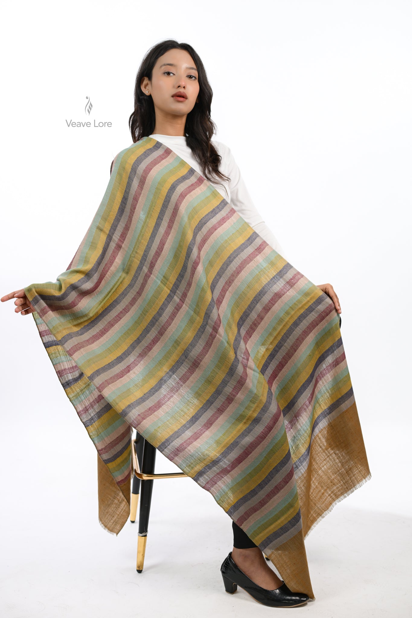 Rang Spectrum Pashmina Stole