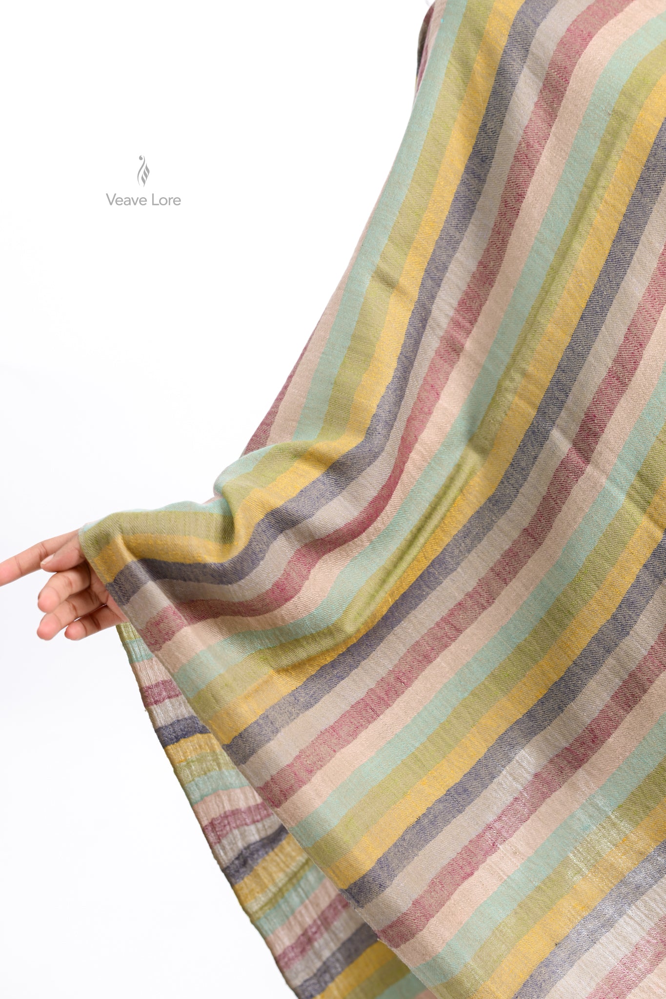 Rang Spectrum Pashmina Stole