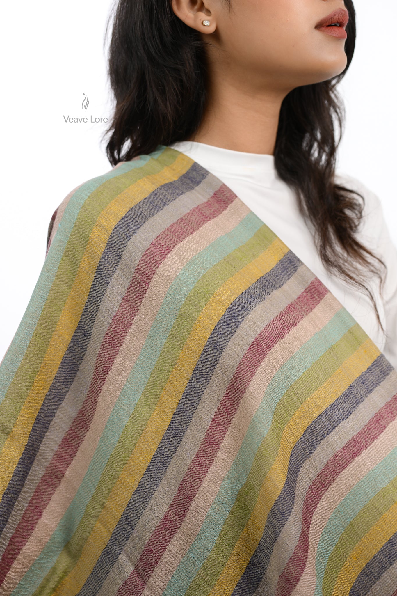 Rang Spectrum Pashmina Stole