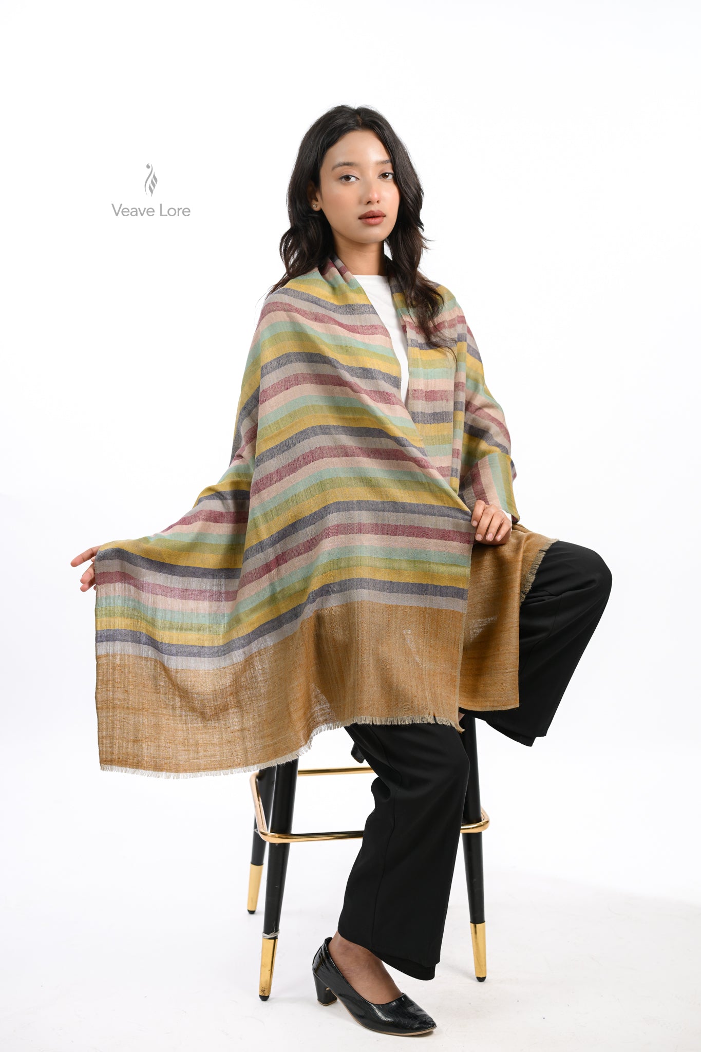 Rang Spectrum Pashmina Stole