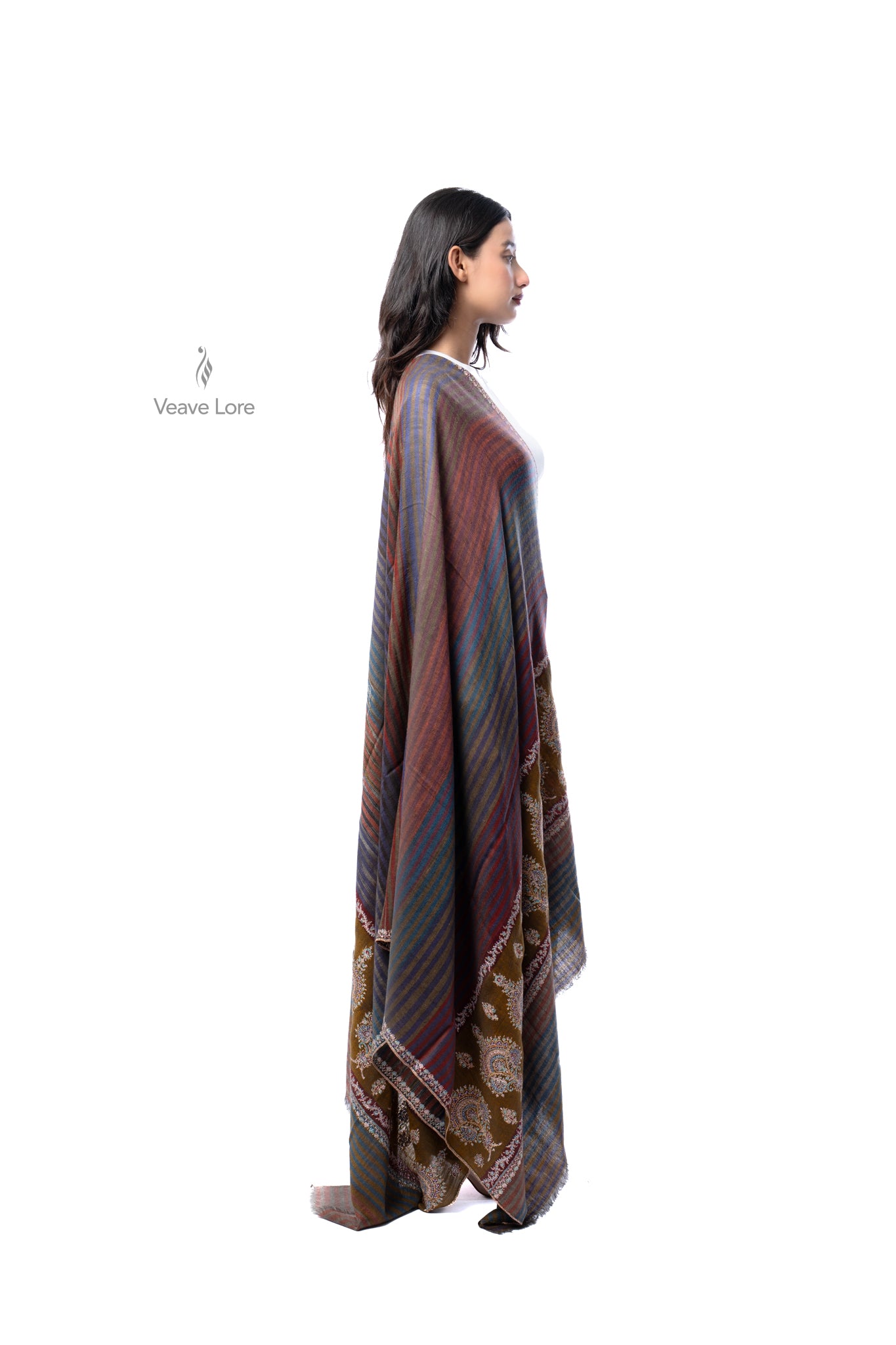 Dhoop-Chhaon Pashmina Shawl