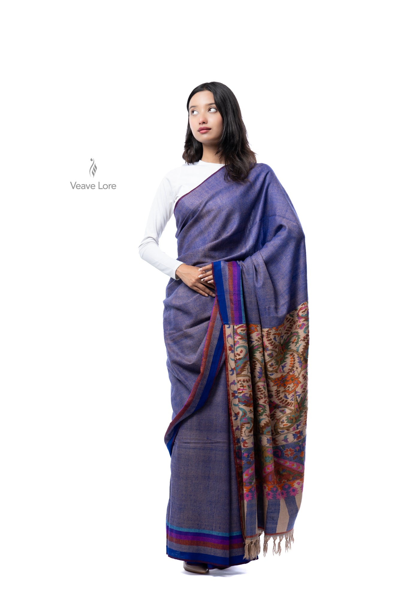 The Nginavat Kani Pashmina Saree