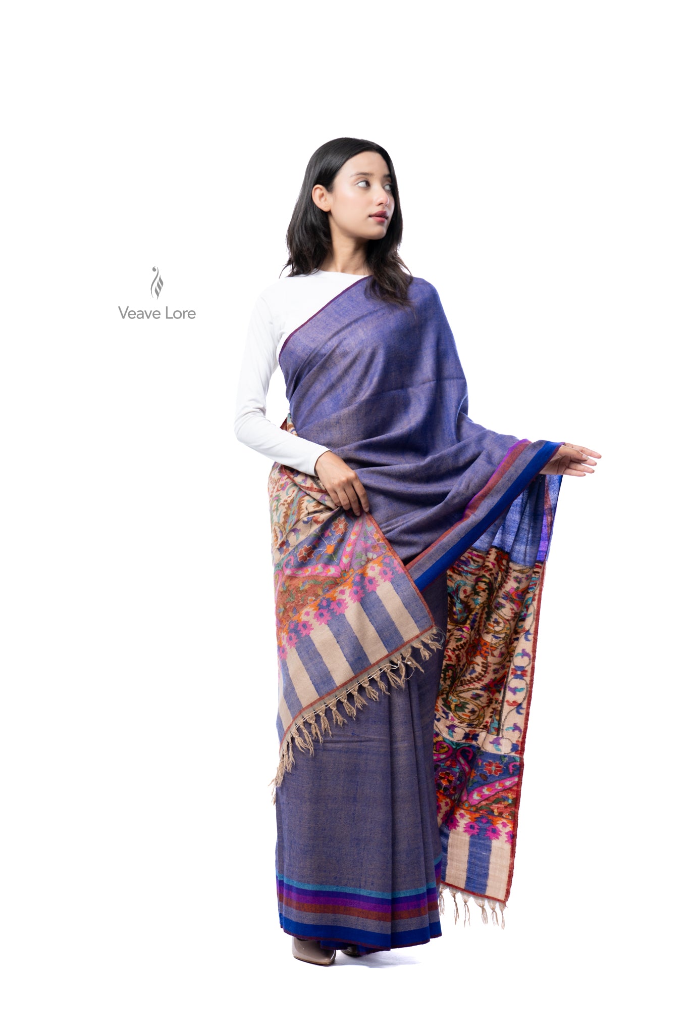 The Nginavat Kani Pashmina Saree