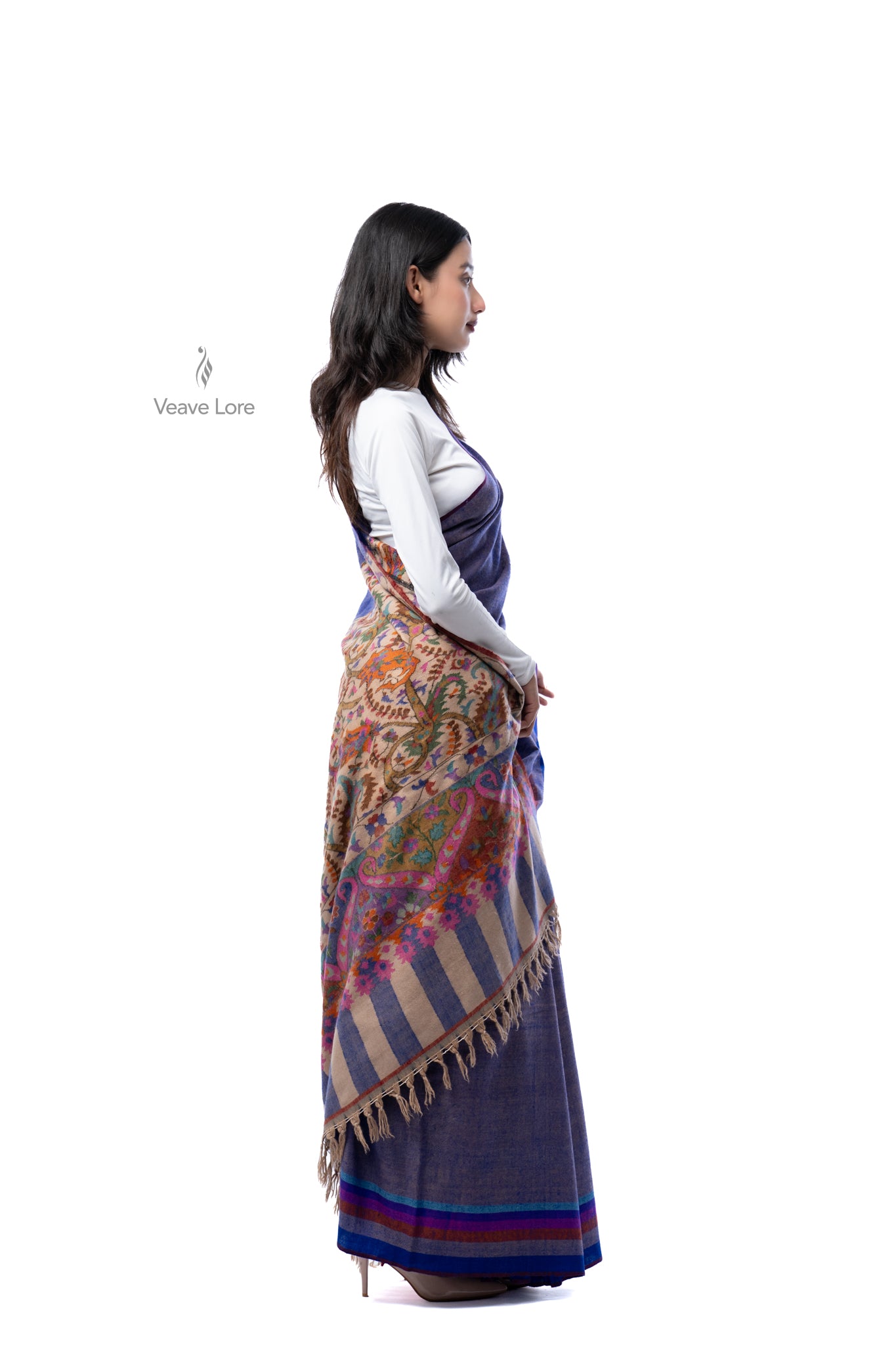 The Nginavat Kani Pashmina Saree