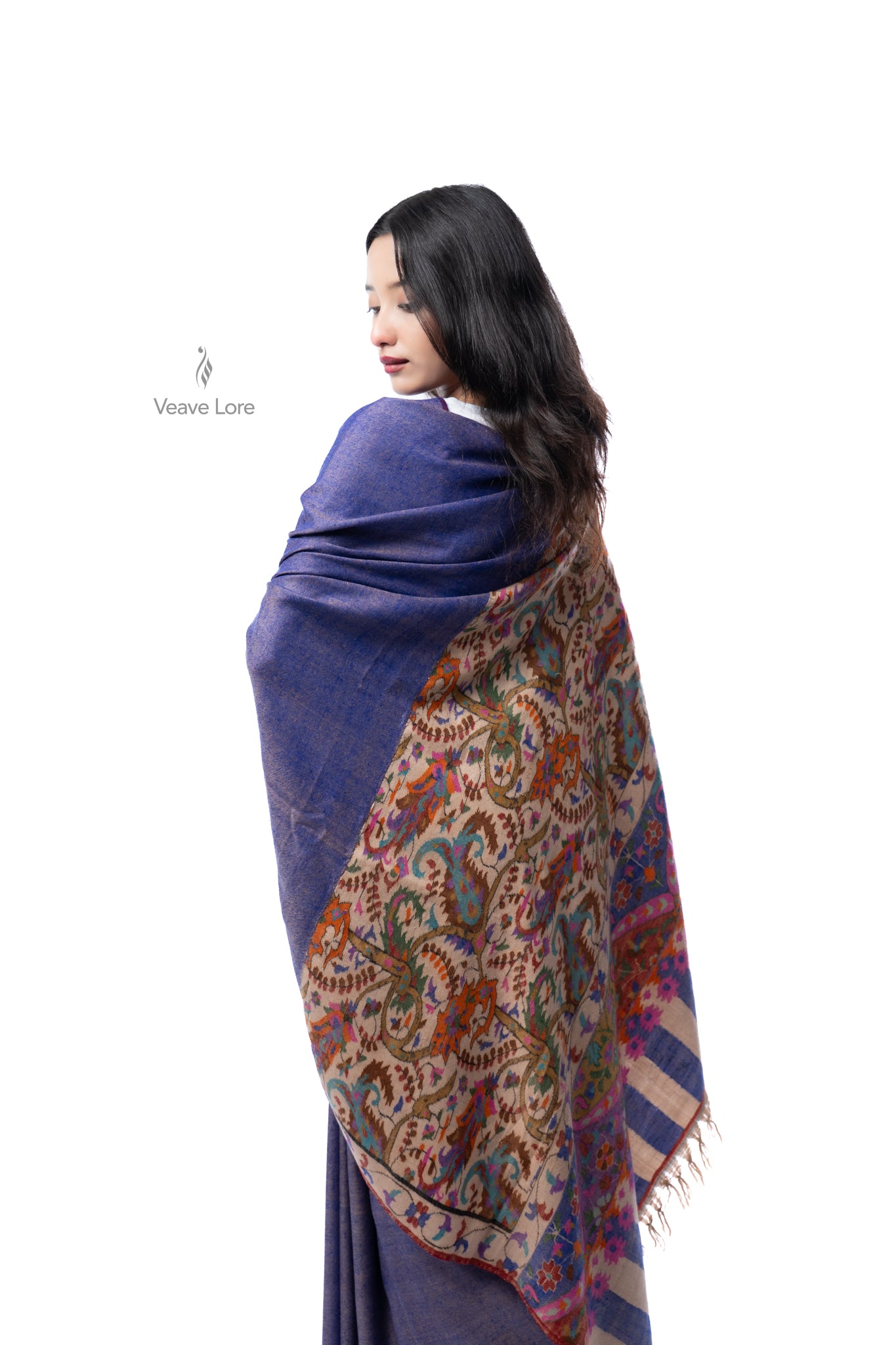 The Nginavat Kani Pashmina Saree
