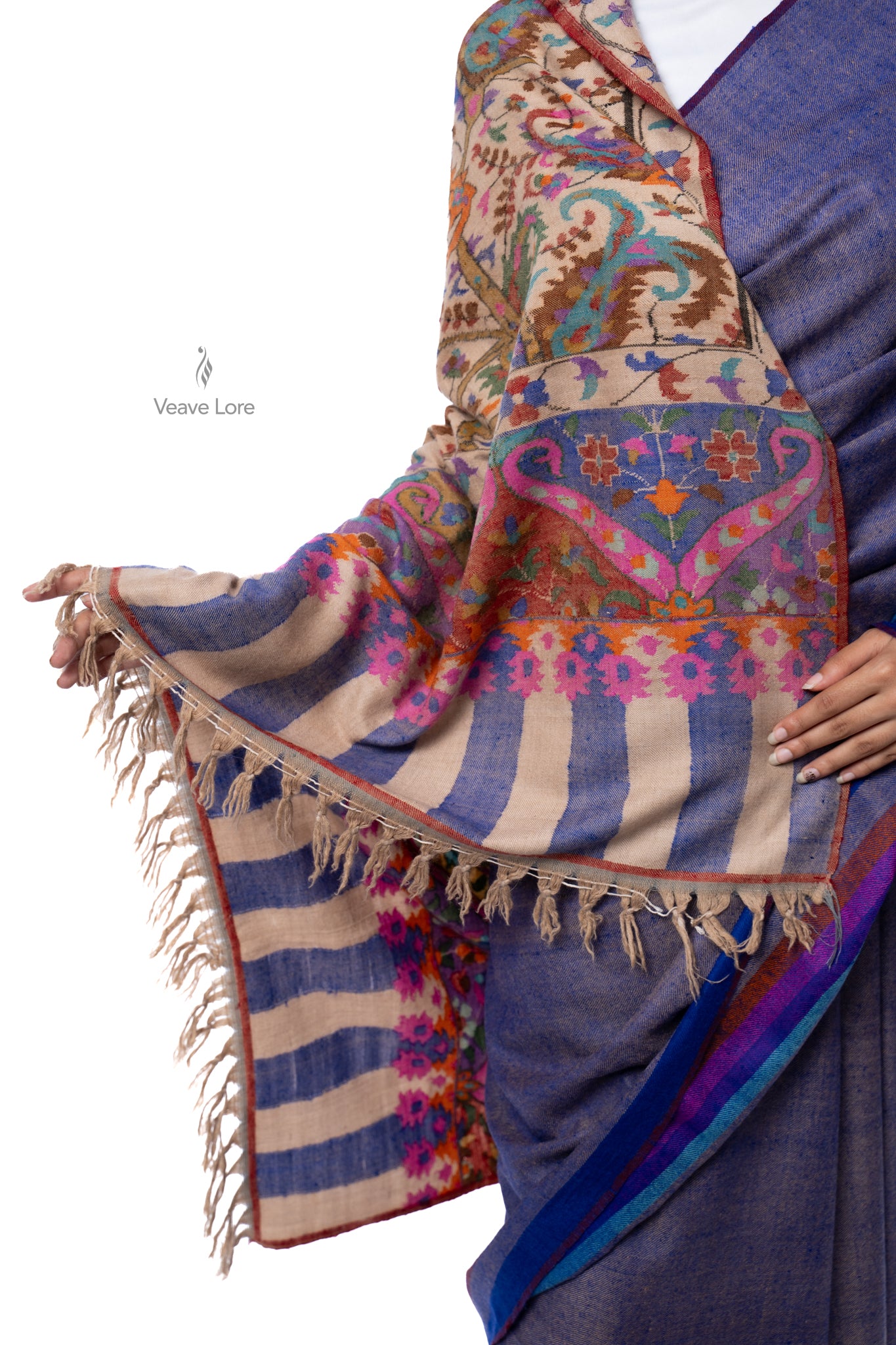 The Nginavat Kani Pashmina Saree