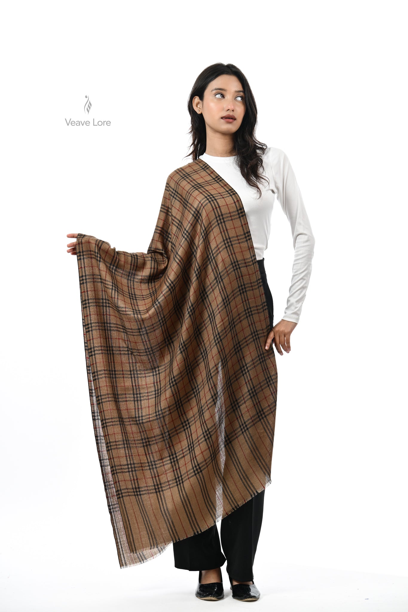 Khat-o-Naqsh Check & Stripe Stole