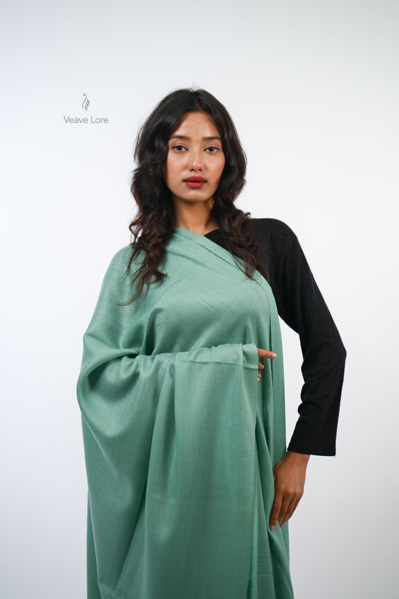 Sabzazaar The Verdant Meadow Pashmina Shawl