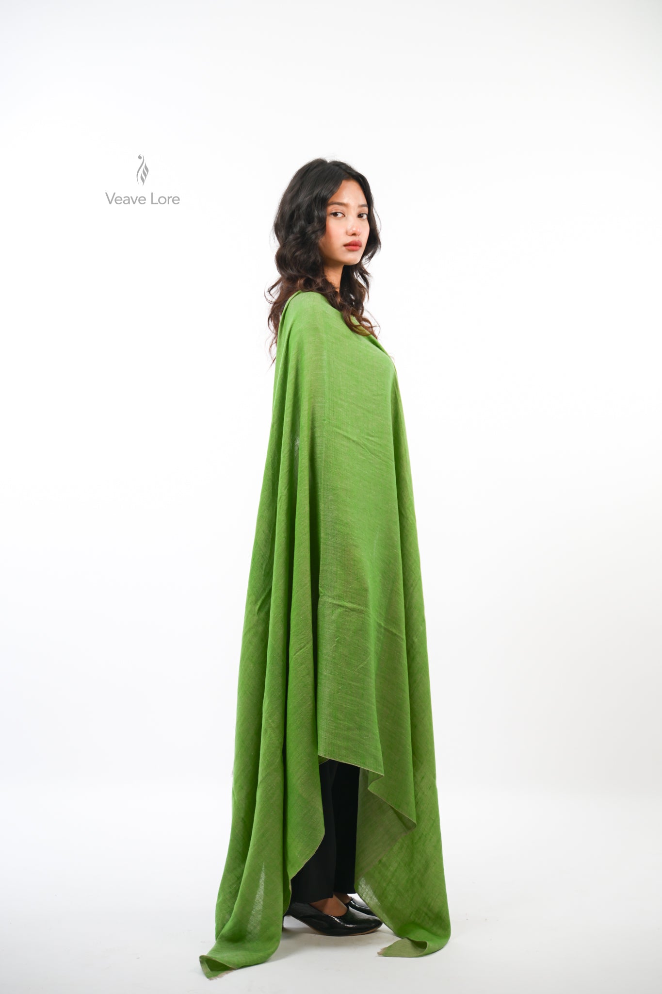 Barg Celadon Pashmina Shawl