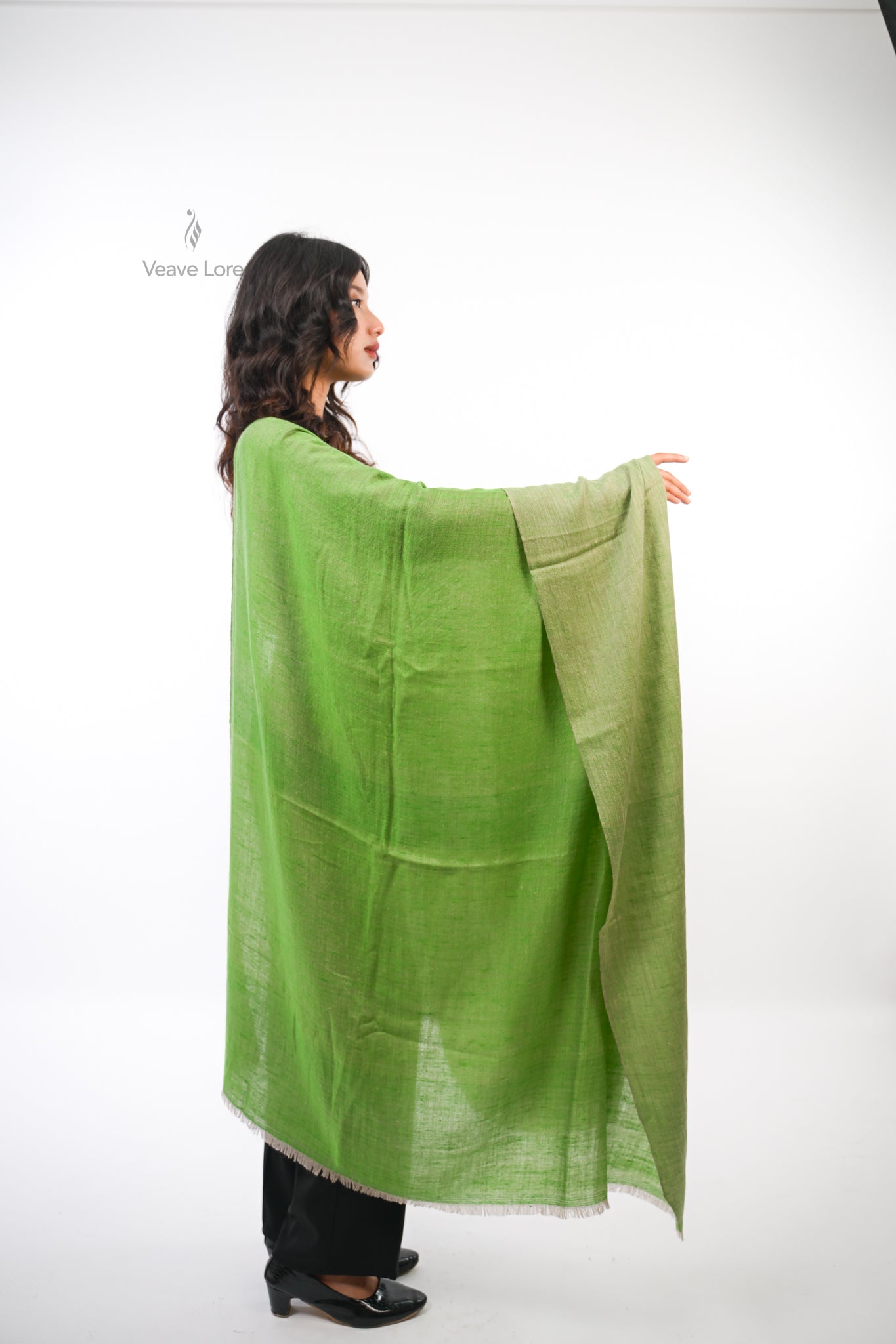 Barg Celadon Pashmina Shawl