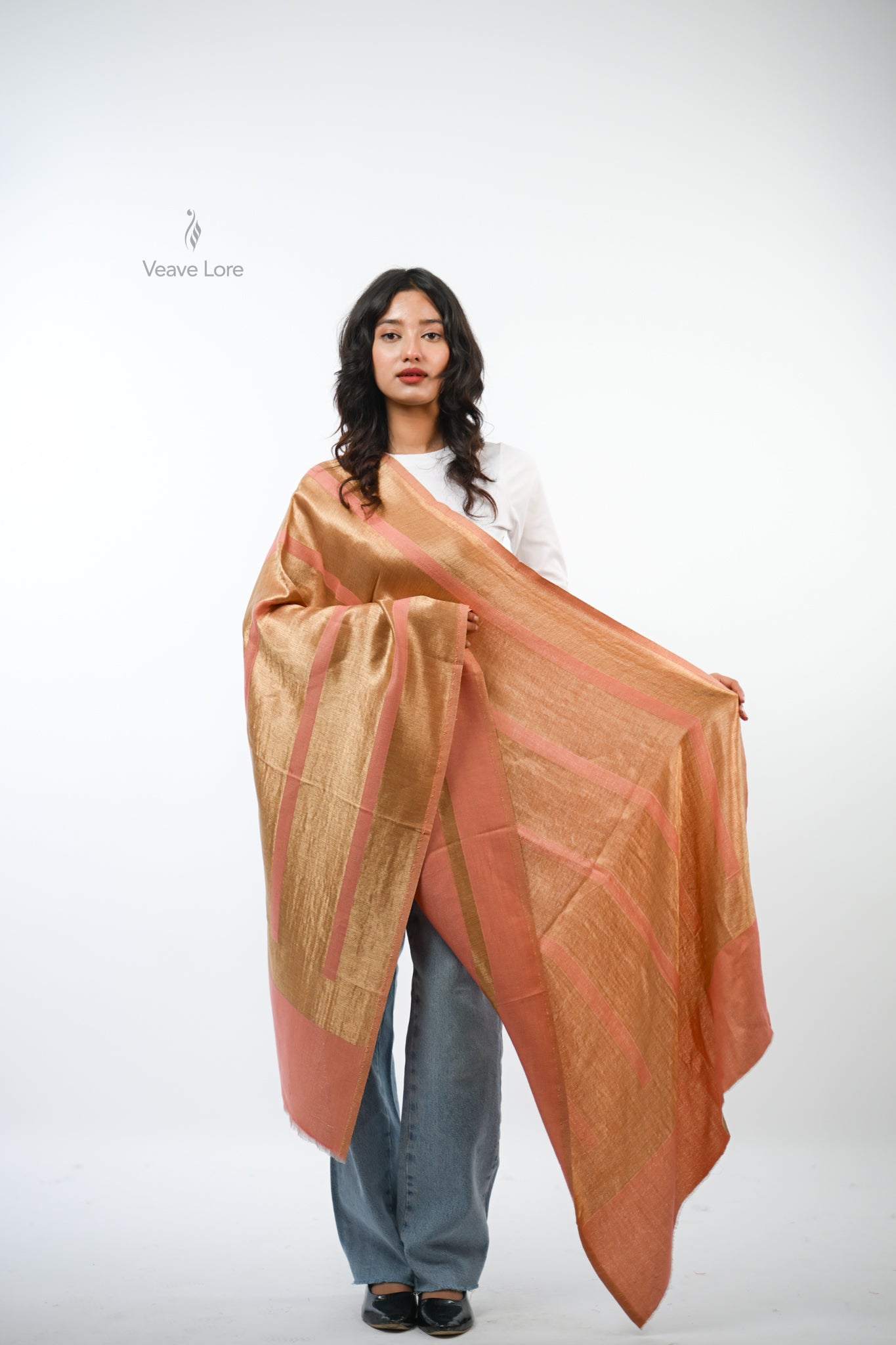 Zari Stole The Luminous Thread