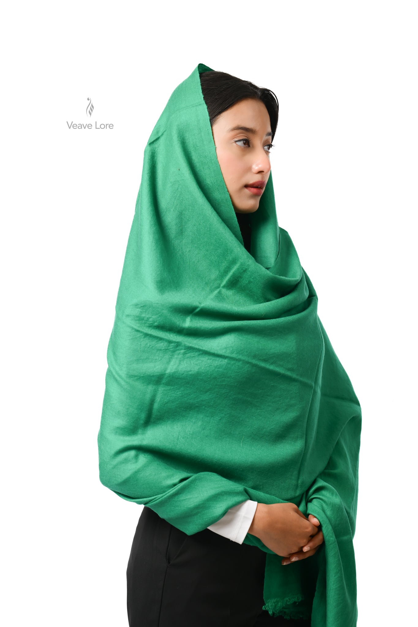 Sarv Malachite Pashmina Shawl